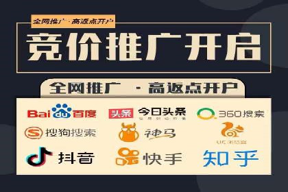 百度竞价运营的挑战与机遇：成功案例探讨